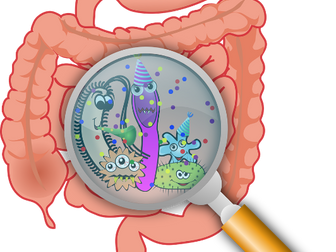 Teaching the Digestive System Through Movement
