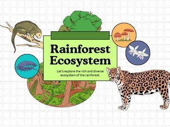 Rainforest Layers Worksheet – Emergent, Canopy, Understory & Forest Floor | KS3 Geography