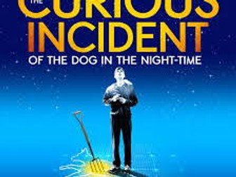 Essay questions on 'The Curious Incident of the Dog in the Night-Time' (play)