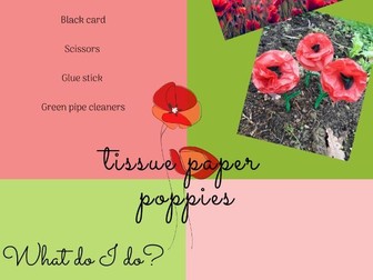 EAL Gardening Craft Activity - Tissue Paper Poppy
