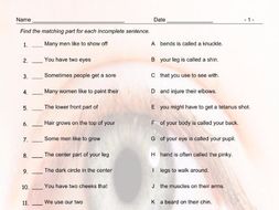 Body Parts Sentence Match Ups Worksheet