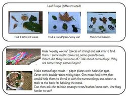 Forest School Activities - Ideas for Outdoor Learning in EYFS and ...