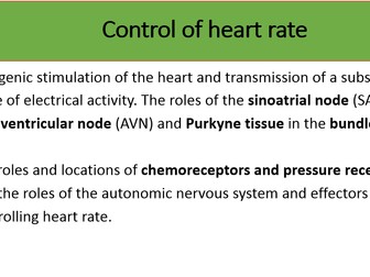 Control of heart rate AQA 3.6.1.3