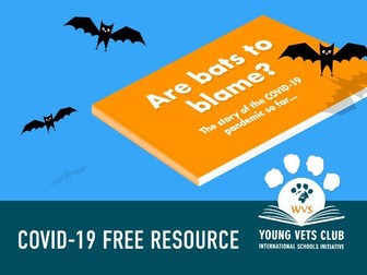 COVID-19 explained at KS2: Are the Bats to Blame?
