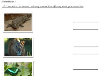 KS1 Science Offspring