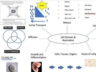 AQA Biology GCSE Cell Replication mind map