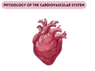 National 5 Health Sector Bundle | Cardiovascular System Booklet & PowerPoints & Assessment Booklet