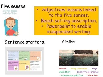 Setting description - Beach - Adjectives - Expanded noun phrases