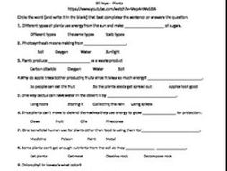 Bill Nye the Science Guy Plants Video follow along sheet.