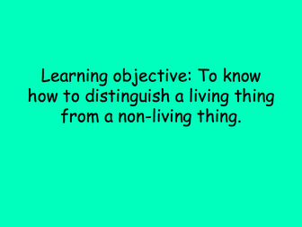 KS1 Science - Living and non-living things lesson plan