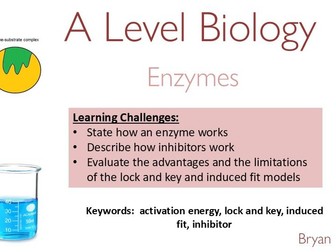 OCR A Level Biology - Enzymes