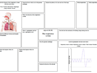 The Respiratory system- GCSE Revision