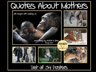 Mothers Day Quote Posters