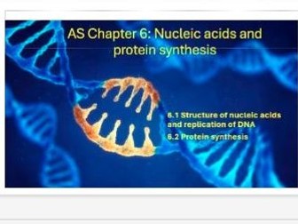 AS Chapter6: Nucleic acids and protein synthesis