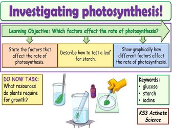 Investigating photosynthesis KS3 Activate Science