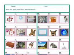 Common Nouns Second Grade Worksheet | Teaching Resources