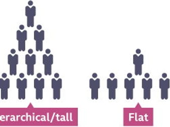 Organisational Design-Business A Level