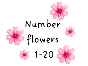 Number Flowers 1-20