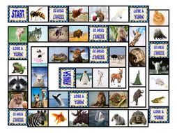Animals Board Game
