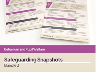 Safeguarding CPD snapshot display