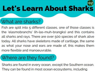 Shark Worksheet