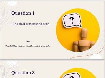 Bones Quiz