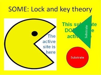 GCSE Enzymes introduction including lock and key theory