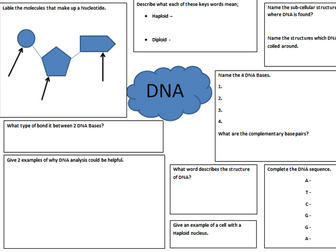 NEW Edexcel 9-1 - Biology revision sheets - Enzymes and DNA