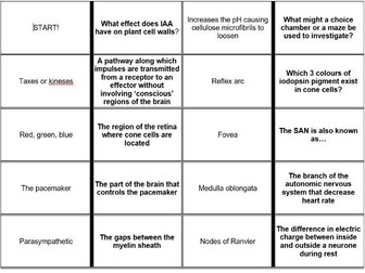 AQA A Level Biology Topic 6 Stimuli and Response Domino Cards