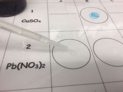 Microscale chemistry precipitation reactions | Teaching Resources