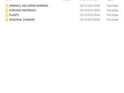 YEAR 1 CURRICULUM (SCIENCE)