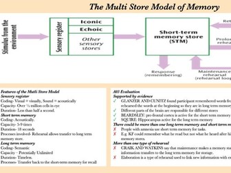 A Level Psychology Memory Revision