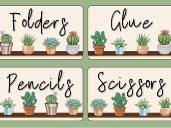 Cactus Themed Tray Labels | Classroom Organisation | Nature Classroom Decor | Resource