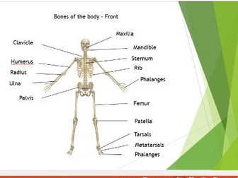 Edexcel New GCSE PE 9-1. Musculo-Skeletal System Unit of Work ...