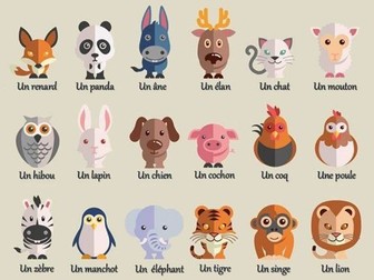 Activity sheet (verbs ÊTRE, AVOIR, ALLER, S'APPELER, HABITER+ANIMALS) - Y7