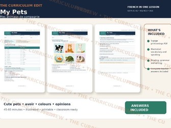 French Pets Illustrated Worksheet | Beginner A1–A2 | Answers Included