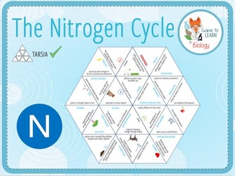 Nitrogen Cycle - Tarsia (KS4)