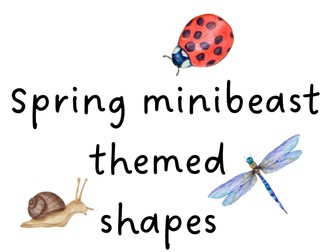 Minibeast 2D Shapes