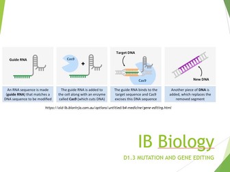 IB Biology 2025 syllabs Topic D1.3