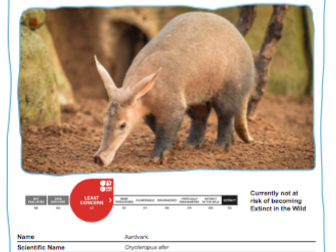 Learn at Chester Zoo - Animal Fact File - Aardvark