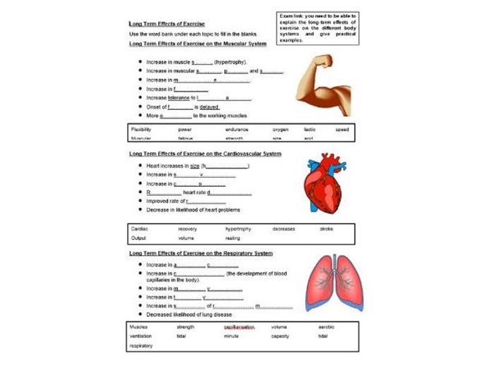 Long And Short Term Effects Of Exercise GCSE PE | Teaching Resources