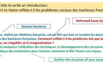 La Haine essay writing/dissertation