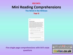 Mini Reading Comprehensions - Wind in the Willows - with Questions