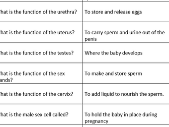 Sexual Reproduction Loop Game
