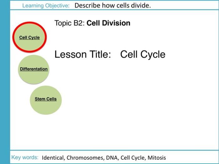 AQA GCSE: B2 Cell Division: L1 Cell Cycle | Teaching Resources