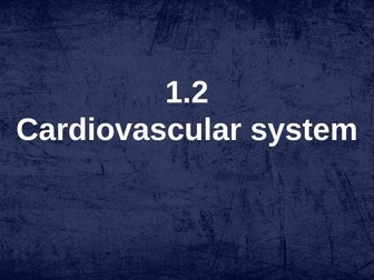 A level Physical Education: Cardiovascular system