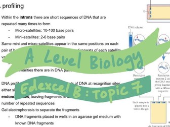 A* Edexcel A Level Biology B Topic 7 - Modern Genetics Revision Notes