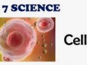 Year 7 Science Revision exercise