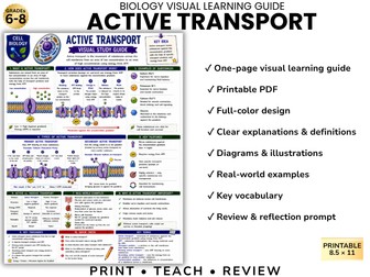ACTIVE TRANSPORT Biology Visual Learning Guide | Grade 8 & Middle School Science