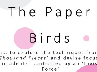 The Paper Birds Scheme of A Level lessons